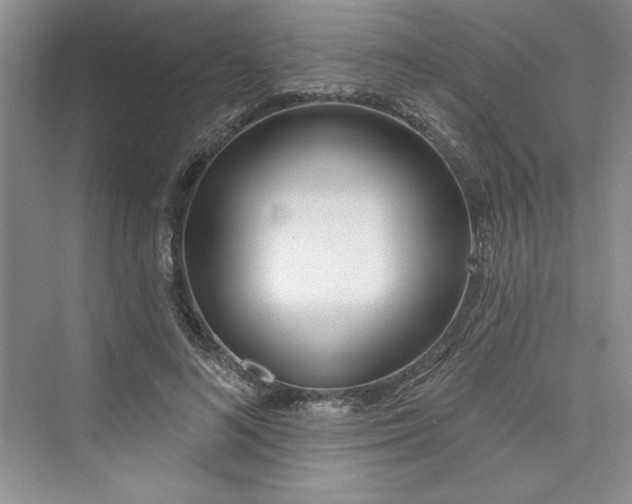 X0000075400692200609251019