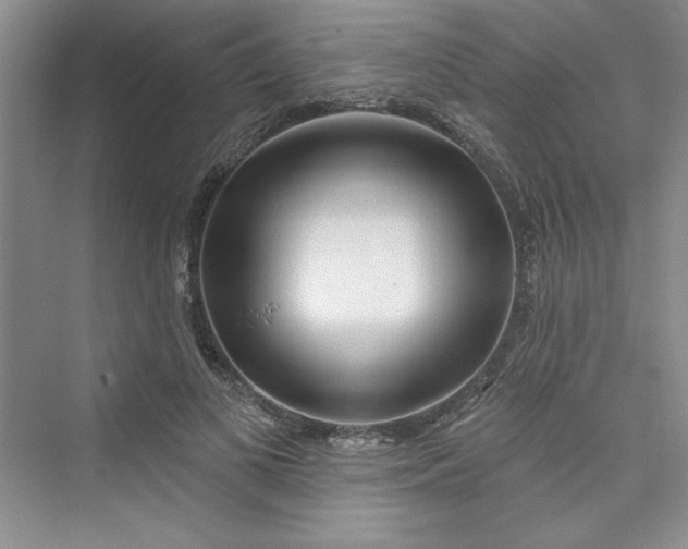 X0000075400693200609251019