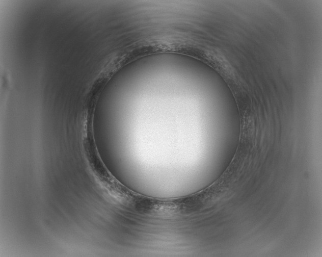 X0000075400694200609251019