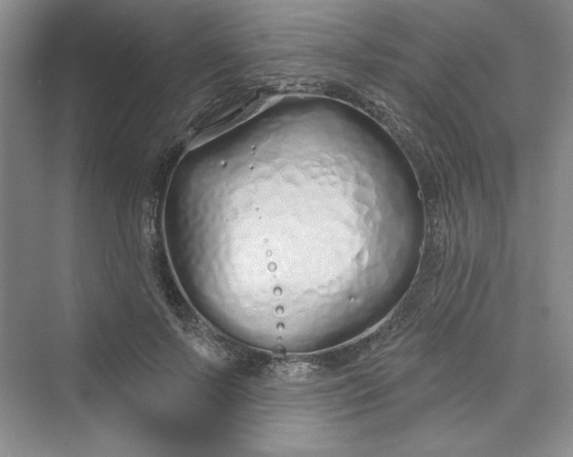 X0000075400695200609251019