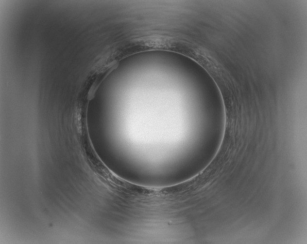 X0000075400696200609251019