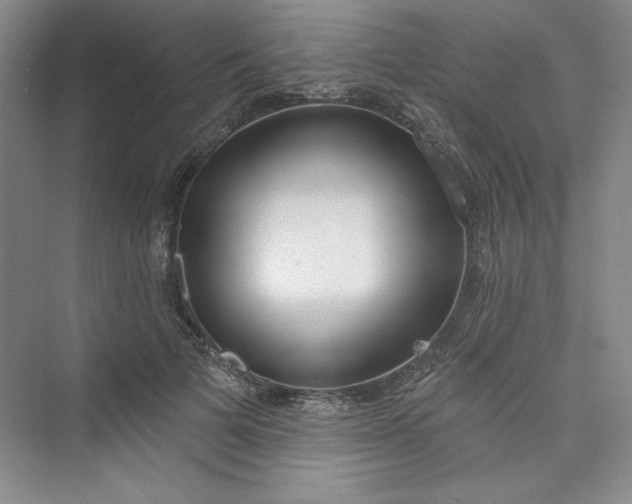 X0000075400697200609251019