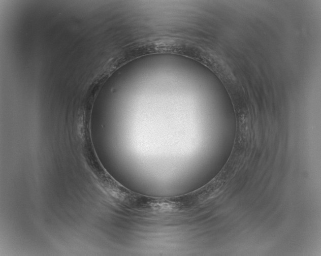 X0000075400698200609251019