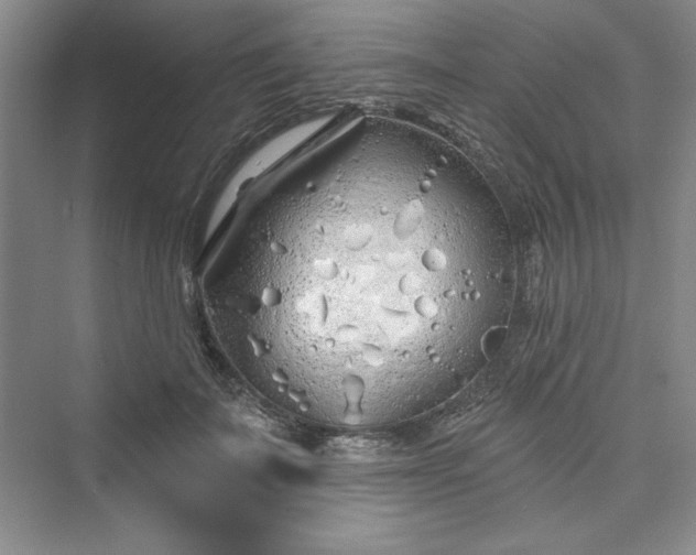 X0000075400699200609251019