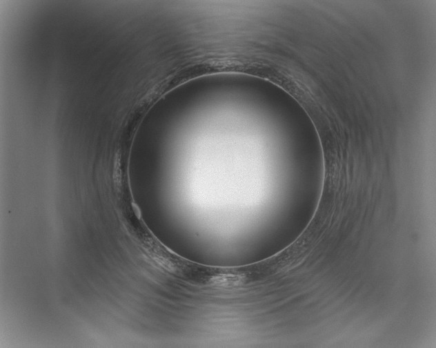 X0000075400700200609251018