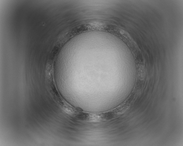 X0000075400701200609251018