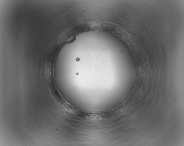 X0000075400702200609251018