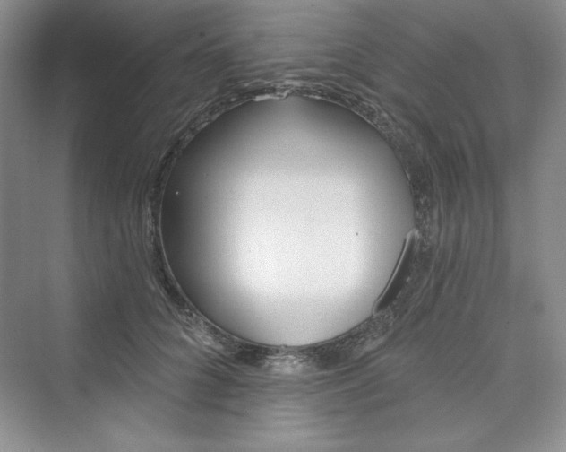 X0000075400704200609251018