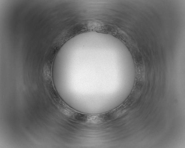 X0000075400705200609251018