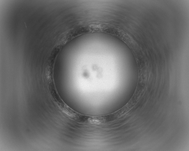 X0000075400706200609251018