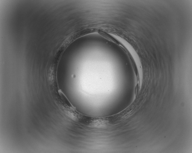 X0000075400708200609251018