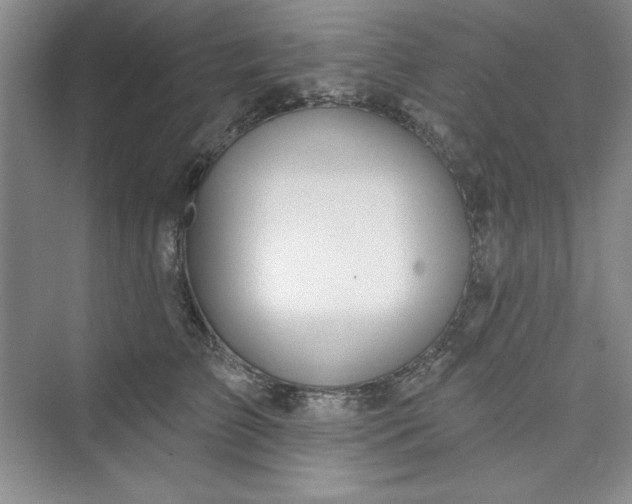 X0000075400709200609251018