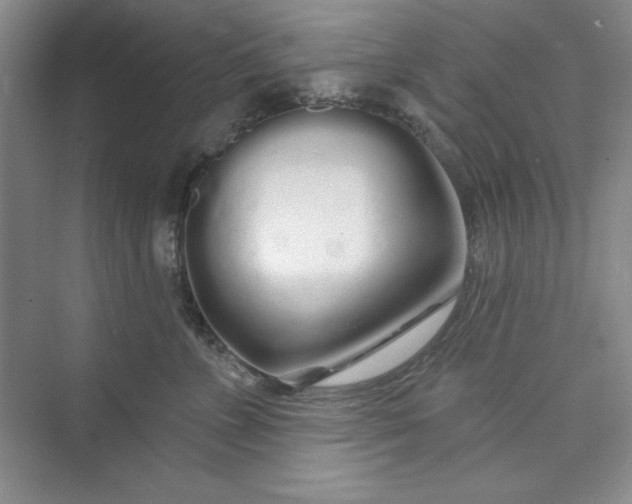 X0000075400715200609251018