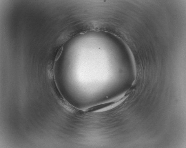 X0000075400719200609251018