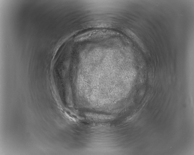 X0000075400721200609251017