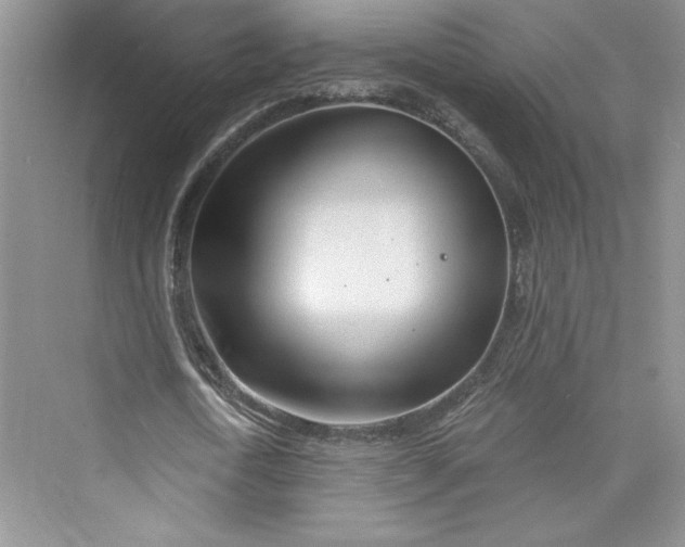 X0000075400722200609251017