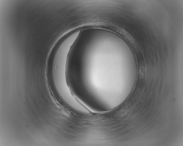 X0000075400724200609251017