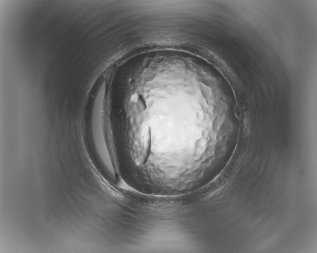 X0000075400725200609251017