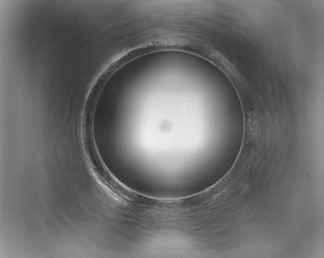 X0000075400726200609251017