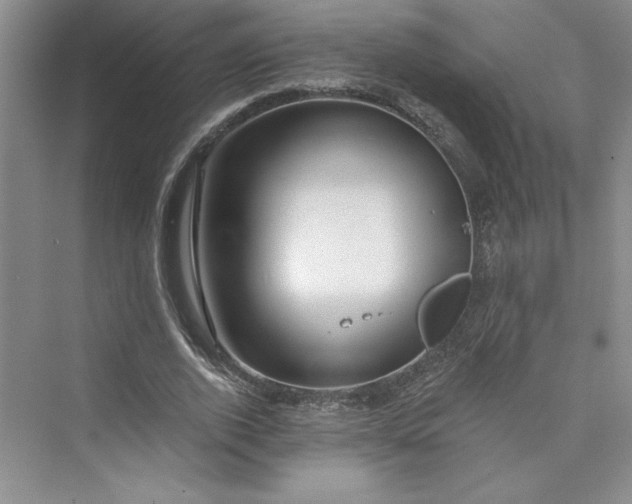 X0000075400728200609251017