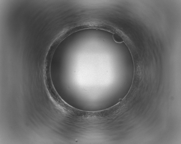 X0000075400730200609251017