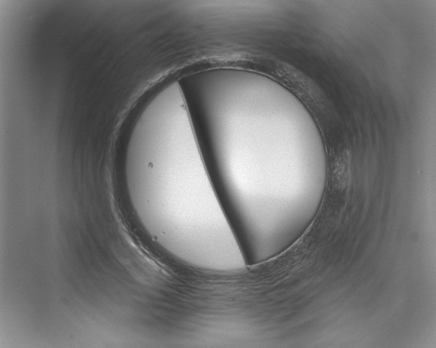 X0000075400732200609251018