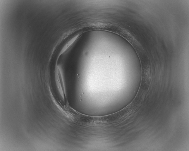 X0000075400734200609251018