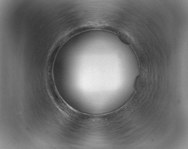 X0000075400736200609251018