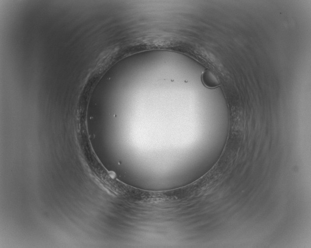 X0000075400738200609251018