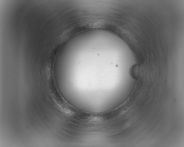 X0000075400741200609251018