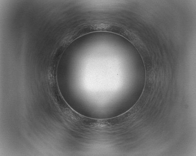 X0000075400743200609251018