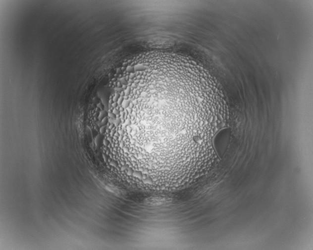 X0000075400745200609251018