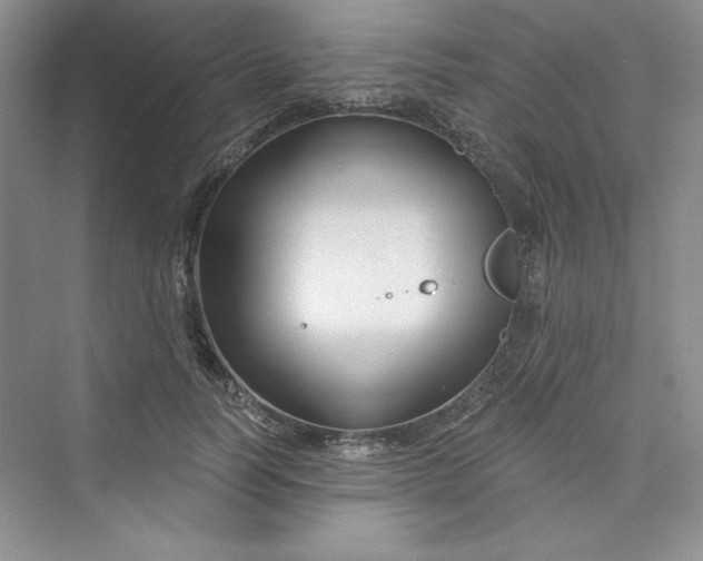 X0000075400746200609251018