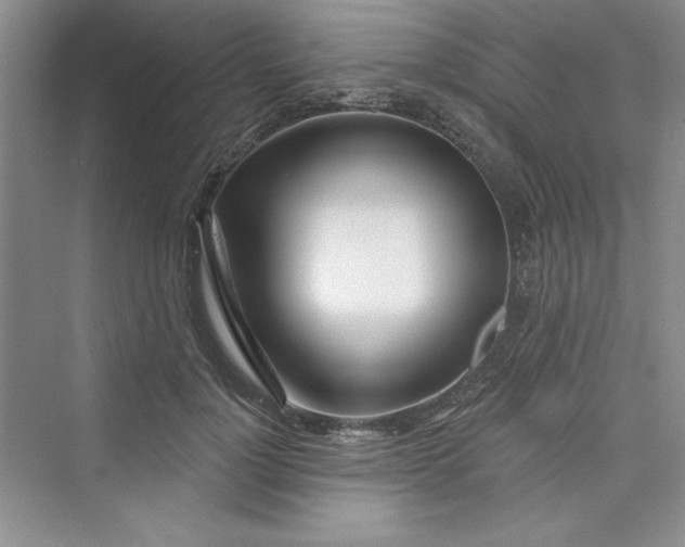 X0000075400748200609251018