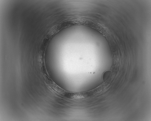 X0000075400749200609251018