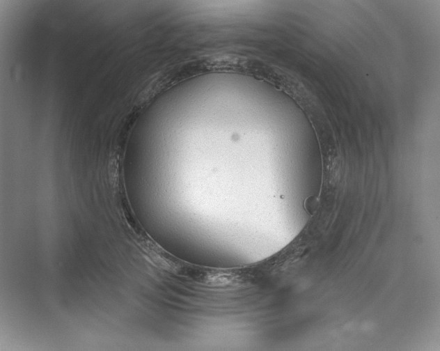 X0000075400753200609251018