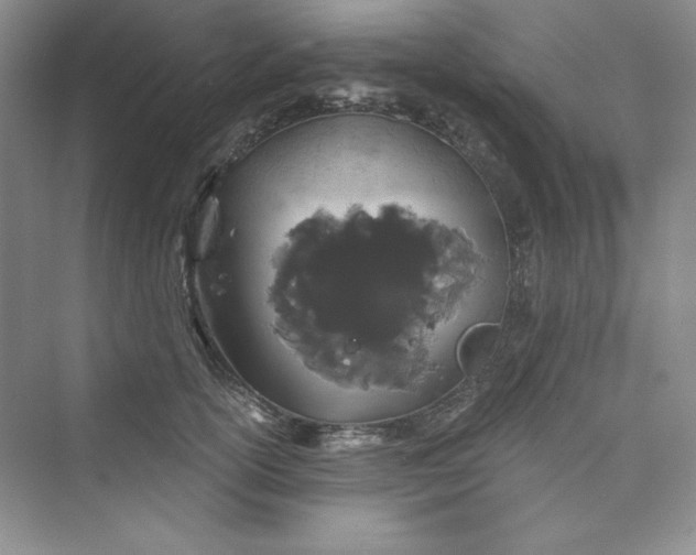 X0000075400754200609251018