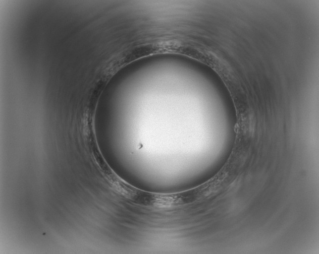 X0000075400757200609251018