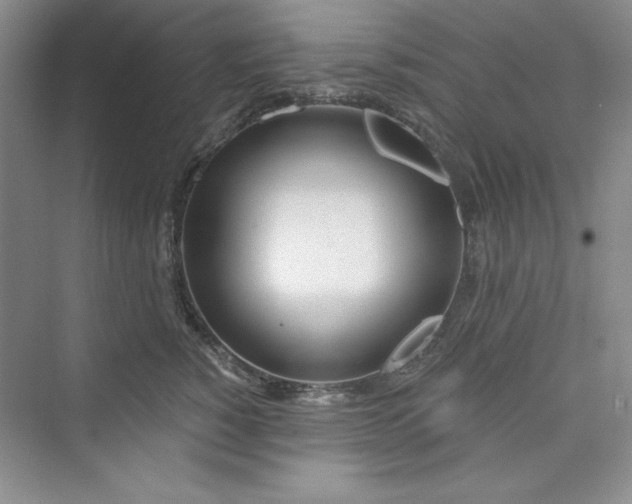 X0000075400760200609251018