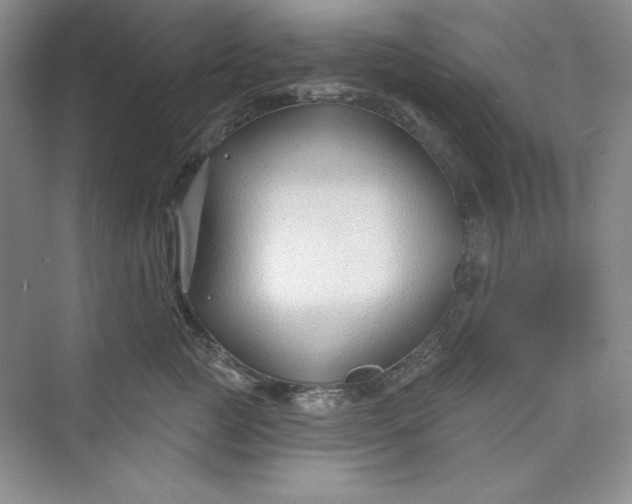 X0000075400761200609251018