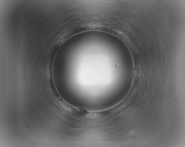 X0000075400762200609251018