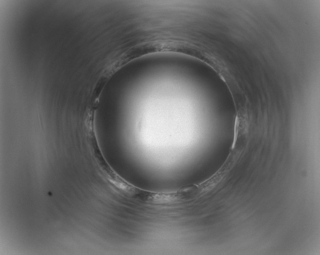 X0000075400766200609251018