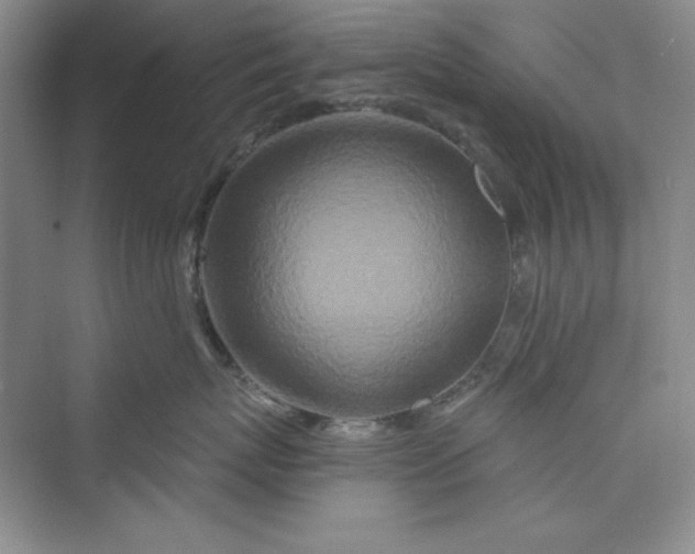 X0000075400767200609251018