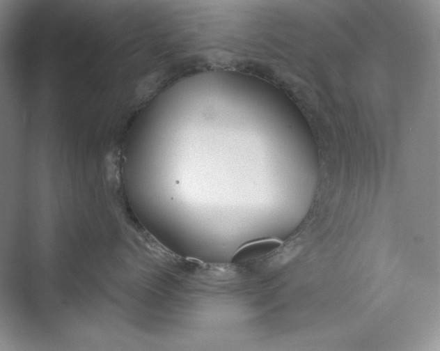 X0000075400768200609251018