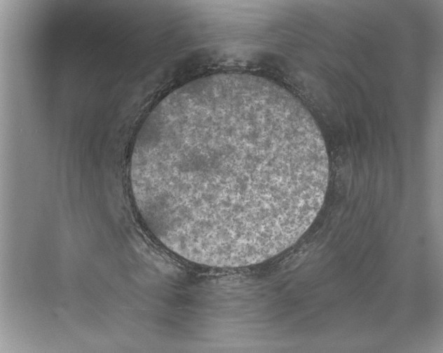 X0000075400769200609251017