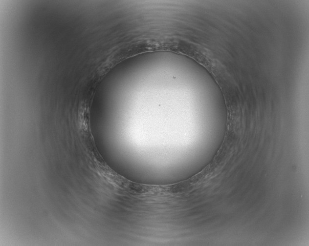 X0000075400770200609251017