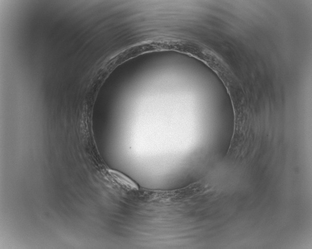 X0000075400773200609251017