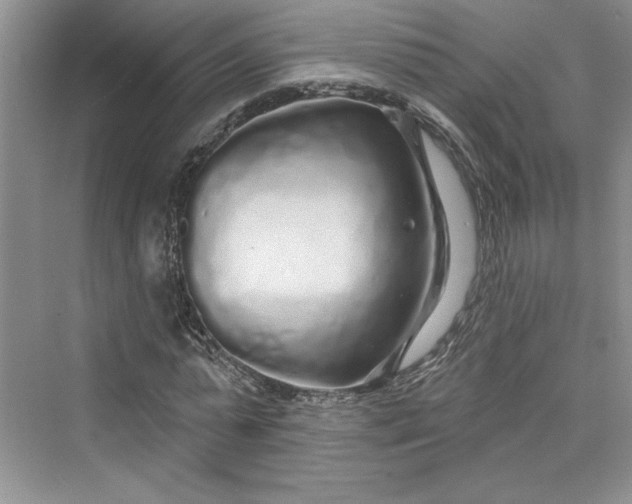 X0000075400775200609251017