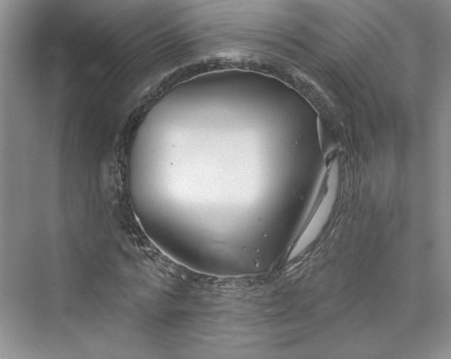 X0000075400776200609251017