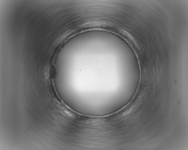 X0000075400778200609251017